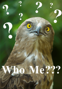 Anyone can be a content marketer! Let #NSPMedia Show you how